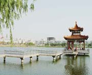 曹县后天天气